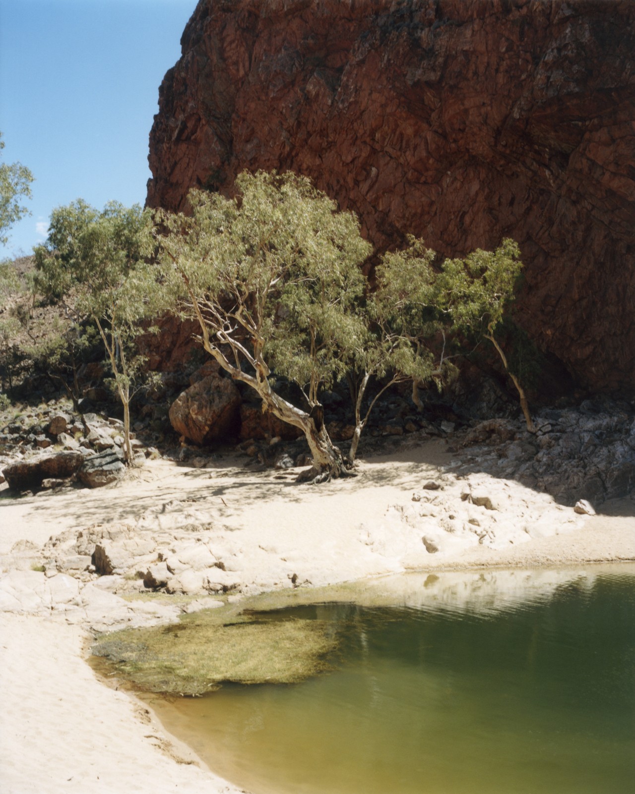 Australia Watarrka National Park by Laurence Ellis