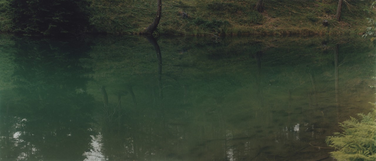 Green water in forest by Théo de Gueltzl