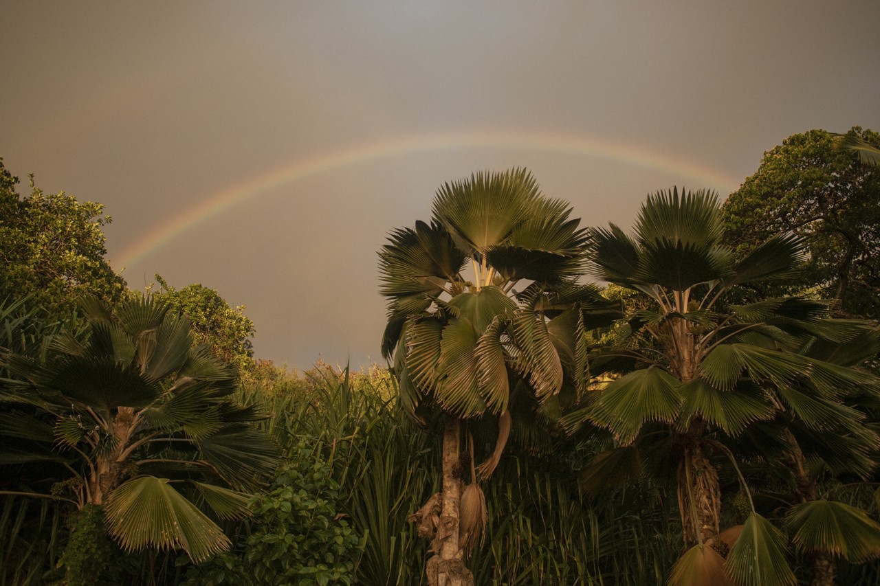 Hawaii rainbow by Vava Ribeiro