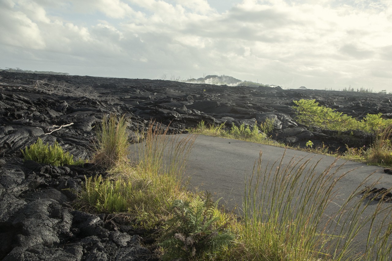 Hawaii landscape by Vava Ribeiro