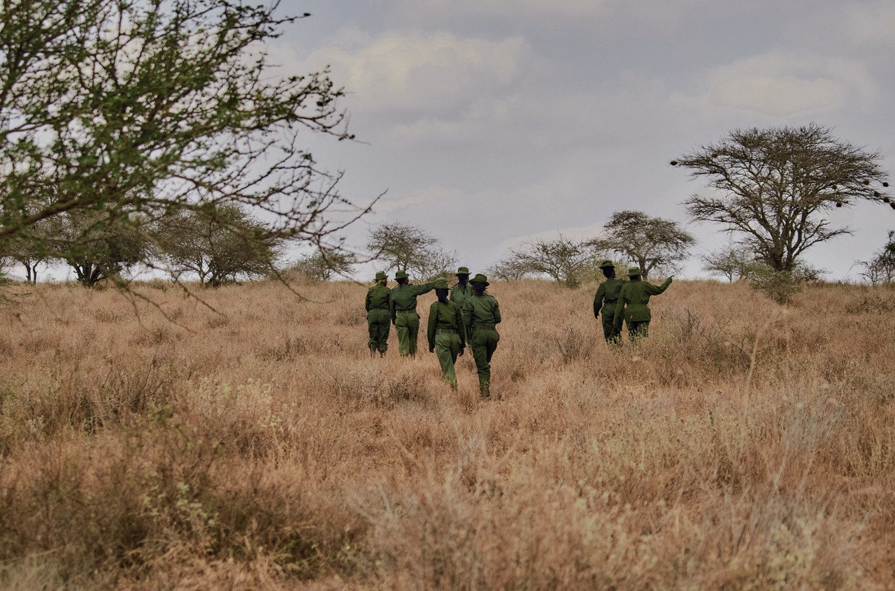 Team Lioness in Kenya by Brian Siambi