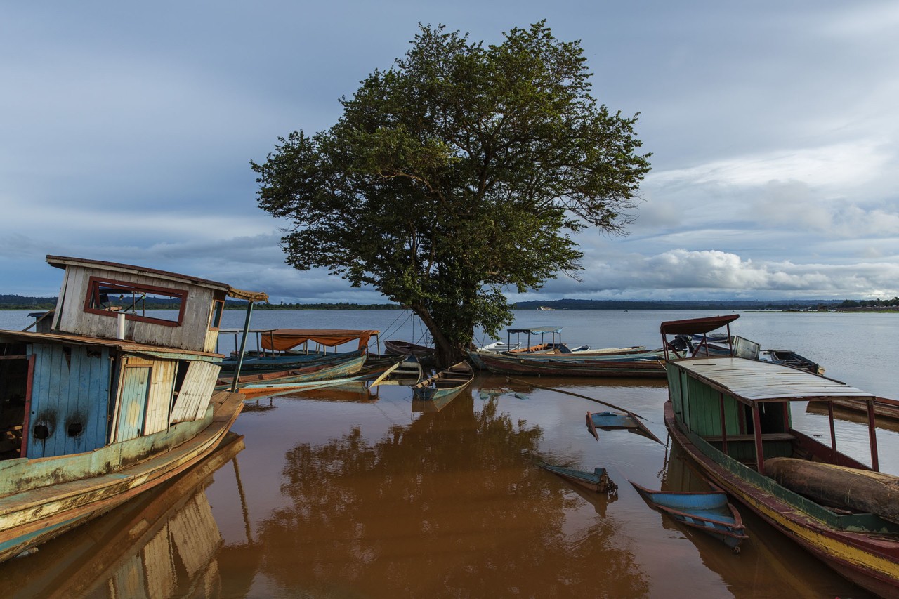 Boats in Xingu River in Altamira, Para in Brazil by Lalo de Almeida