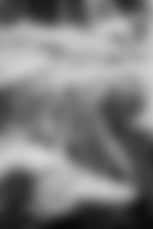 Alaska Tongass National Forest by Daniel Shea