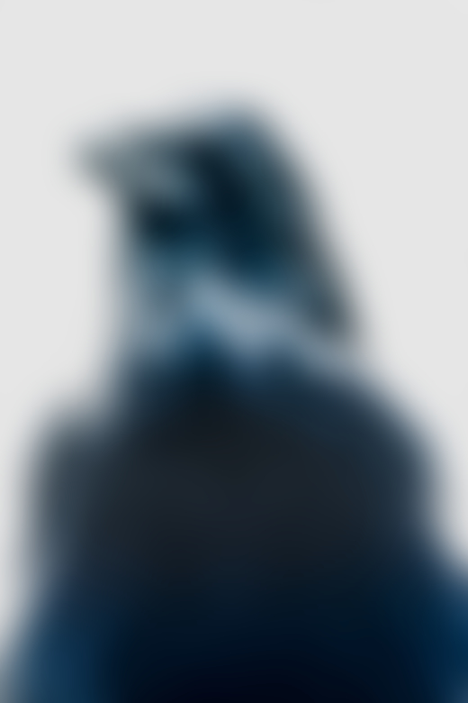Bird in Alaska Tongass National Forest by Daniel Shea