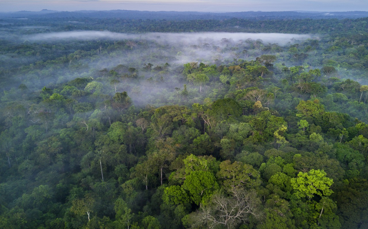 Smoke above the Amazon rainforest in Brazil by Ignacio Palacios