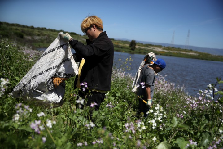 Sea level restoration volunteers at Palo Alto Bay by Photo by Justin Sullivan