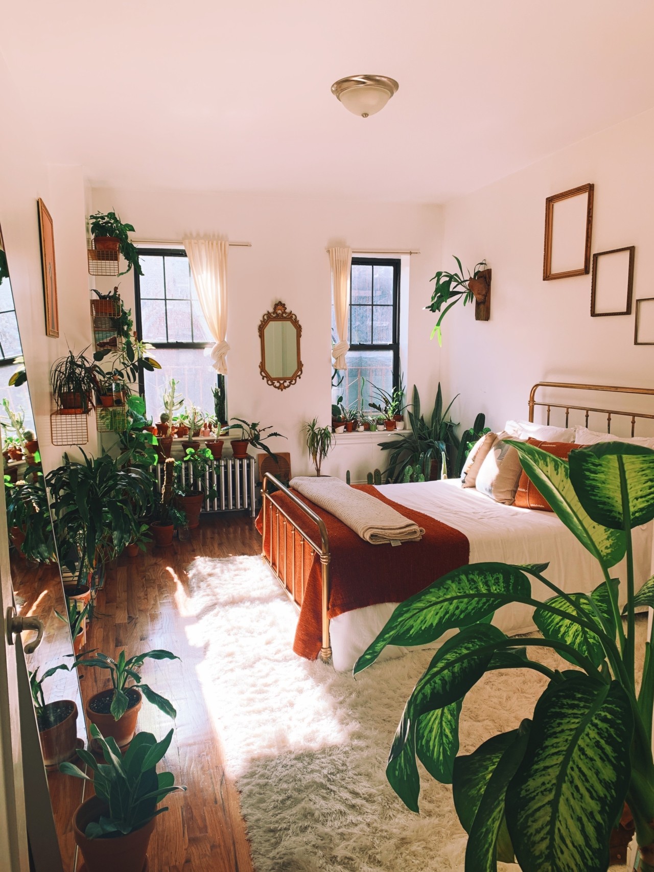 Christopher Griffin/Plant Kween apartment