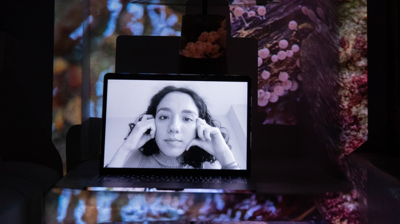 The Year of Virtual Activism