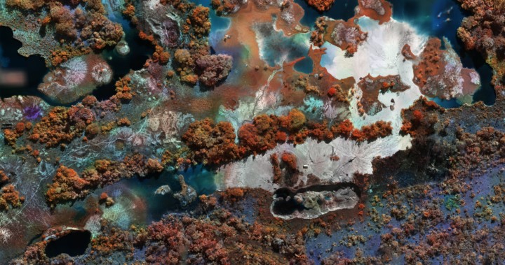 Gold Pit, Paraprint Brazil by Richard Mosse