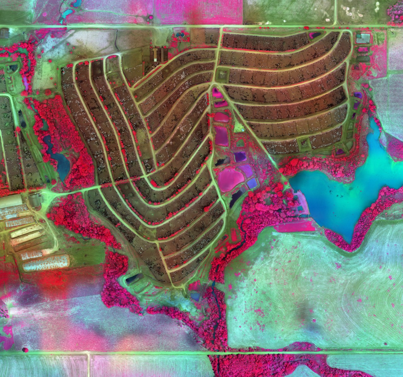 Intensive Cattle Feedlot in Brazil