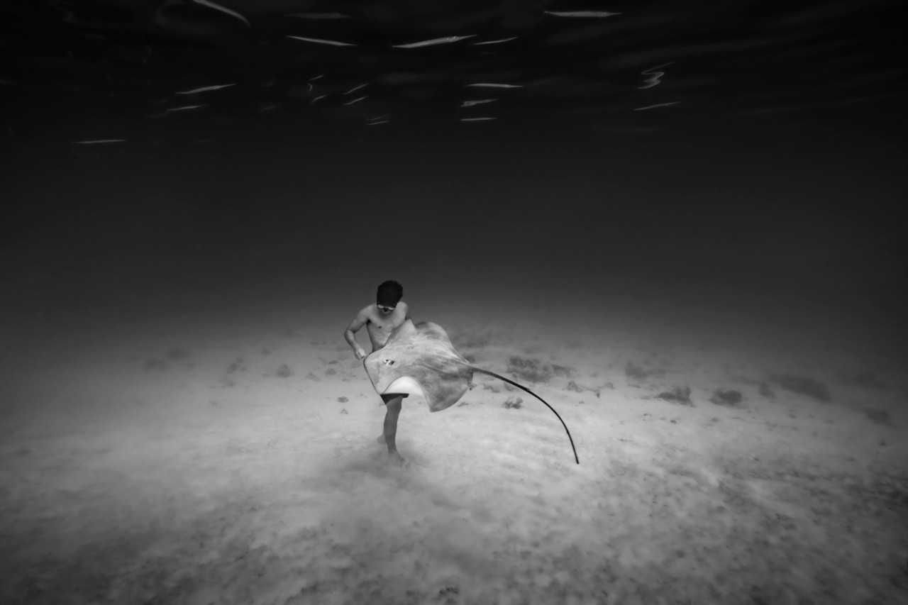 Man swims with stingray underwater by Cristina Mittermeier