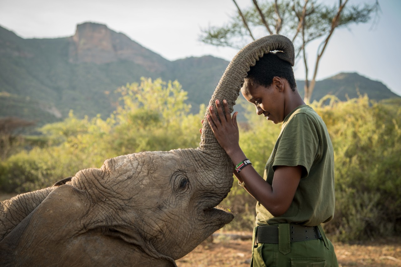Woman touches elephant by Ami Vitale