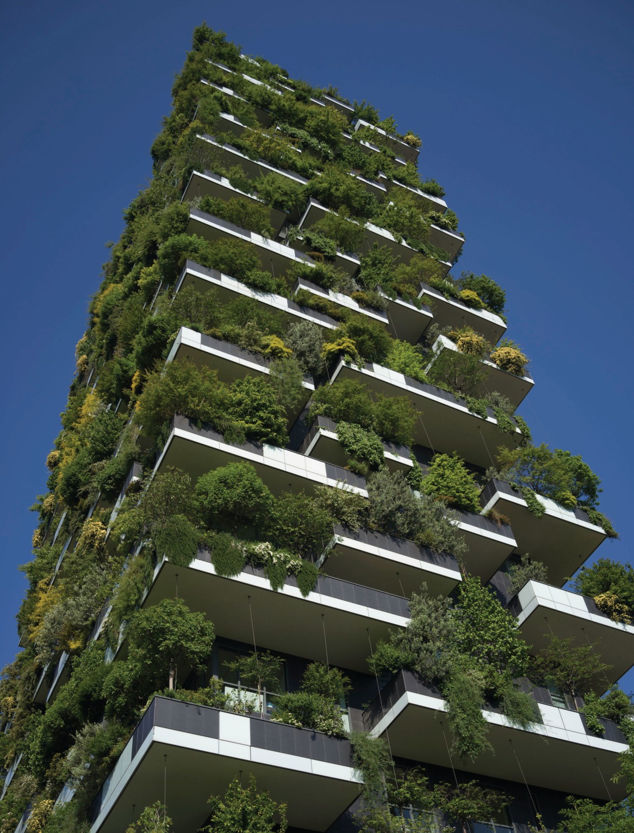 IPCC Report: The Climate Crisis Requires Solutions That Do It All