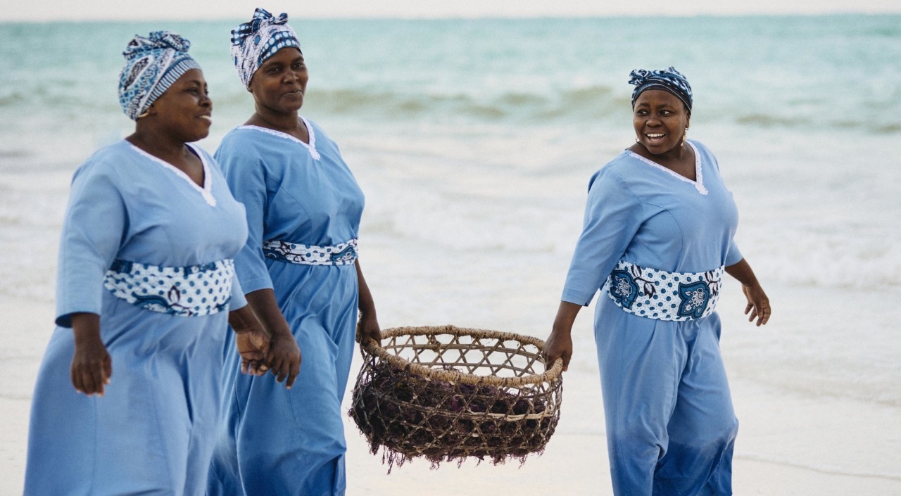 A Seaweed Mama’s Journey on a Vanishing Island