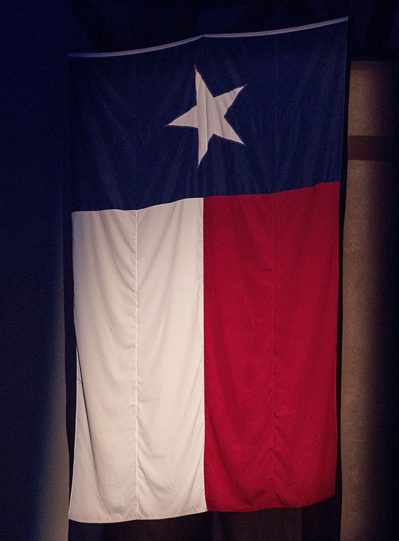Texans to the Polls