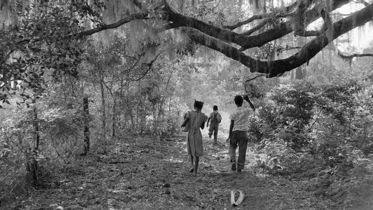 In Search of Emancipation