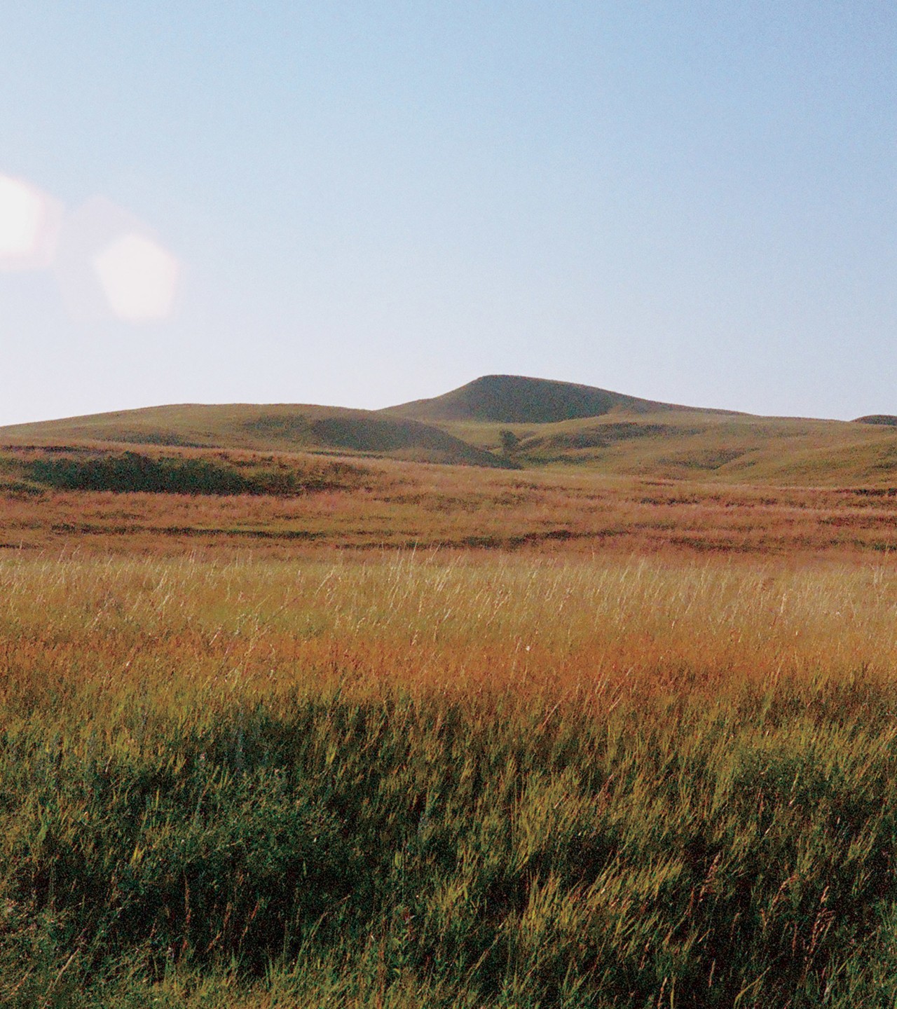 The New Black Hills Gold Rush