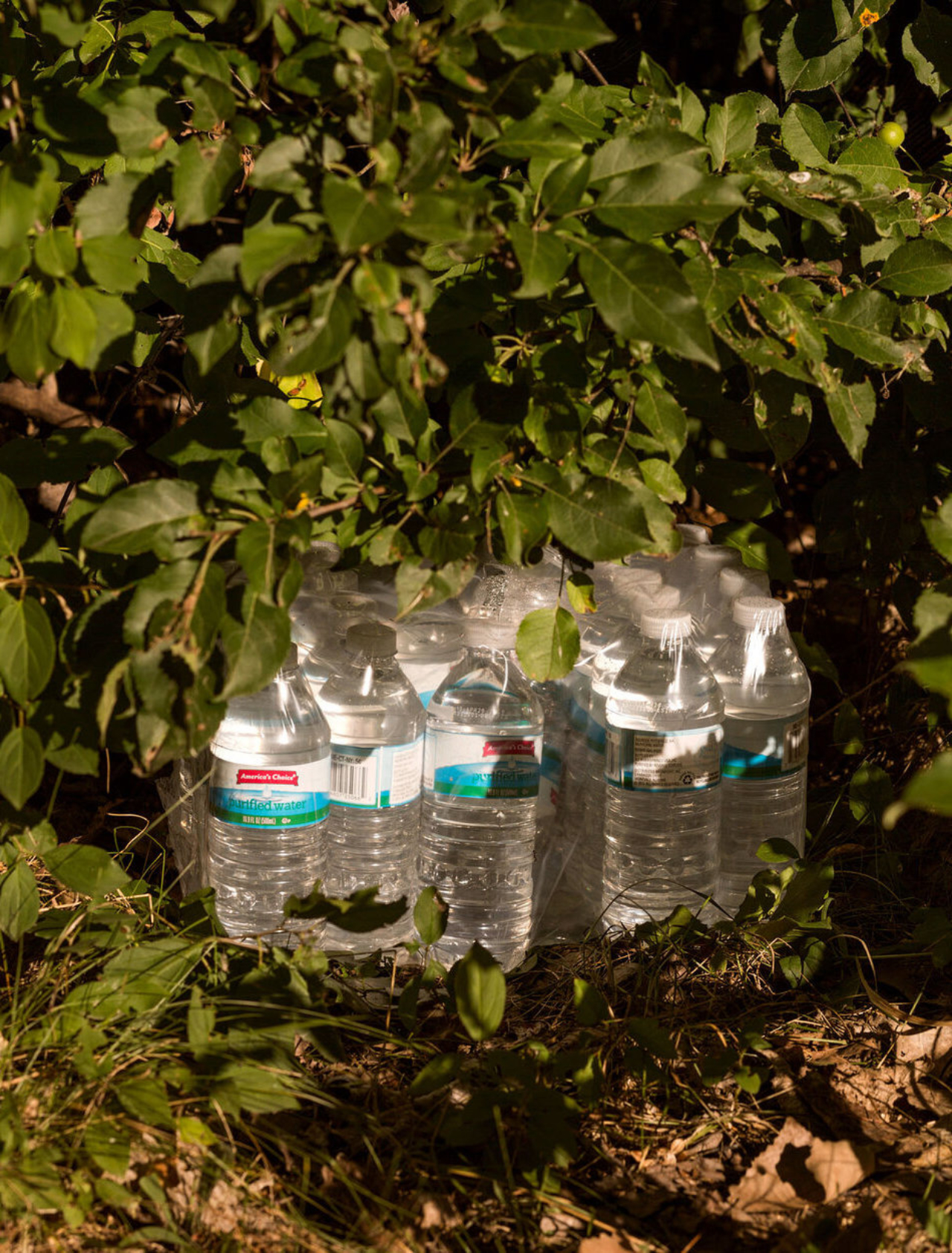 We Can’t Normalize Jackson’s Water Crisis