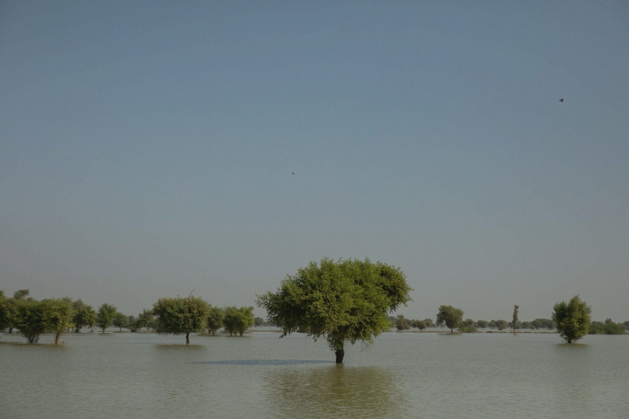 Climate Change Is Hurting the Global South. Will COP27 Help?