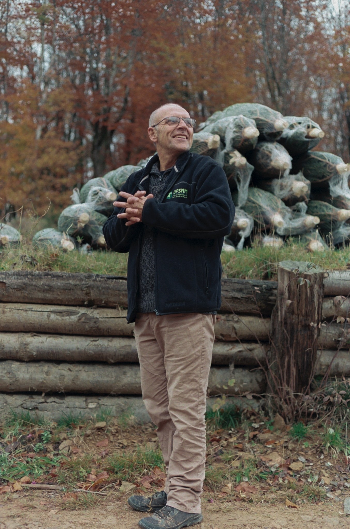 Christmas Trees' Environmental Impact Isn't So Simple Atmos