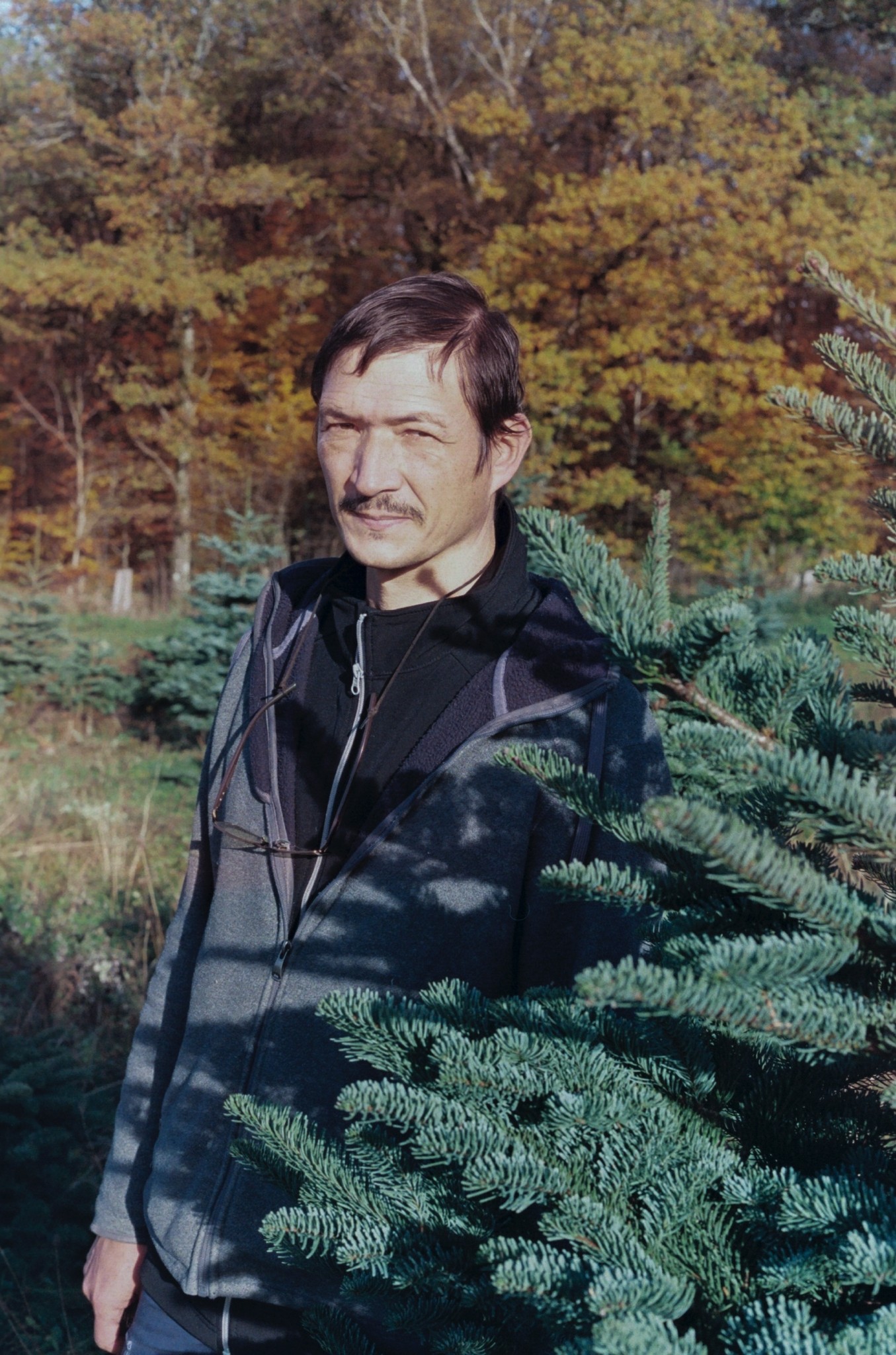 Christmas Trees' Environmental Impact Isn't So Simple Atmos