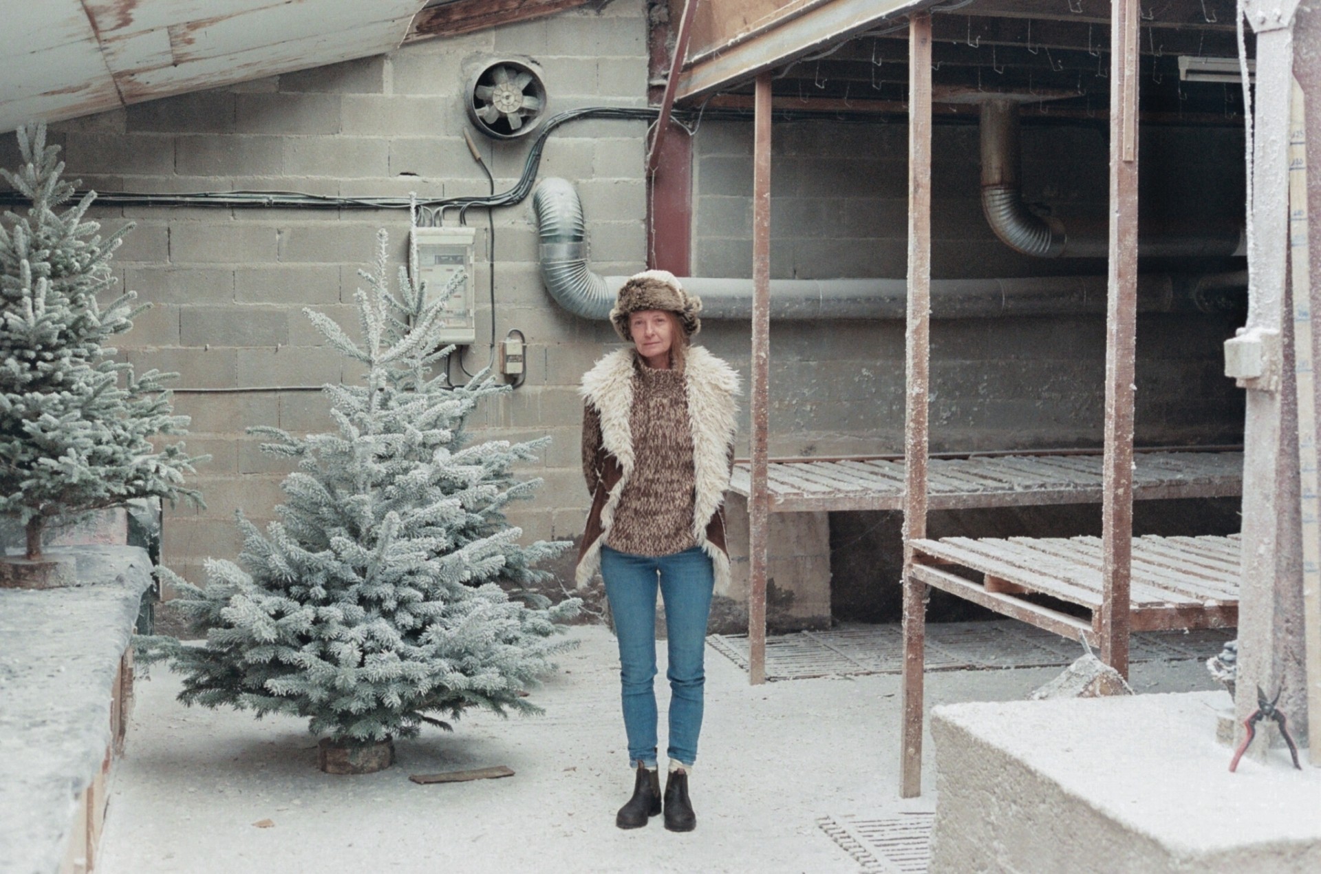 Christmas Trees' Environmental Impact Isn't So Simple Atmos