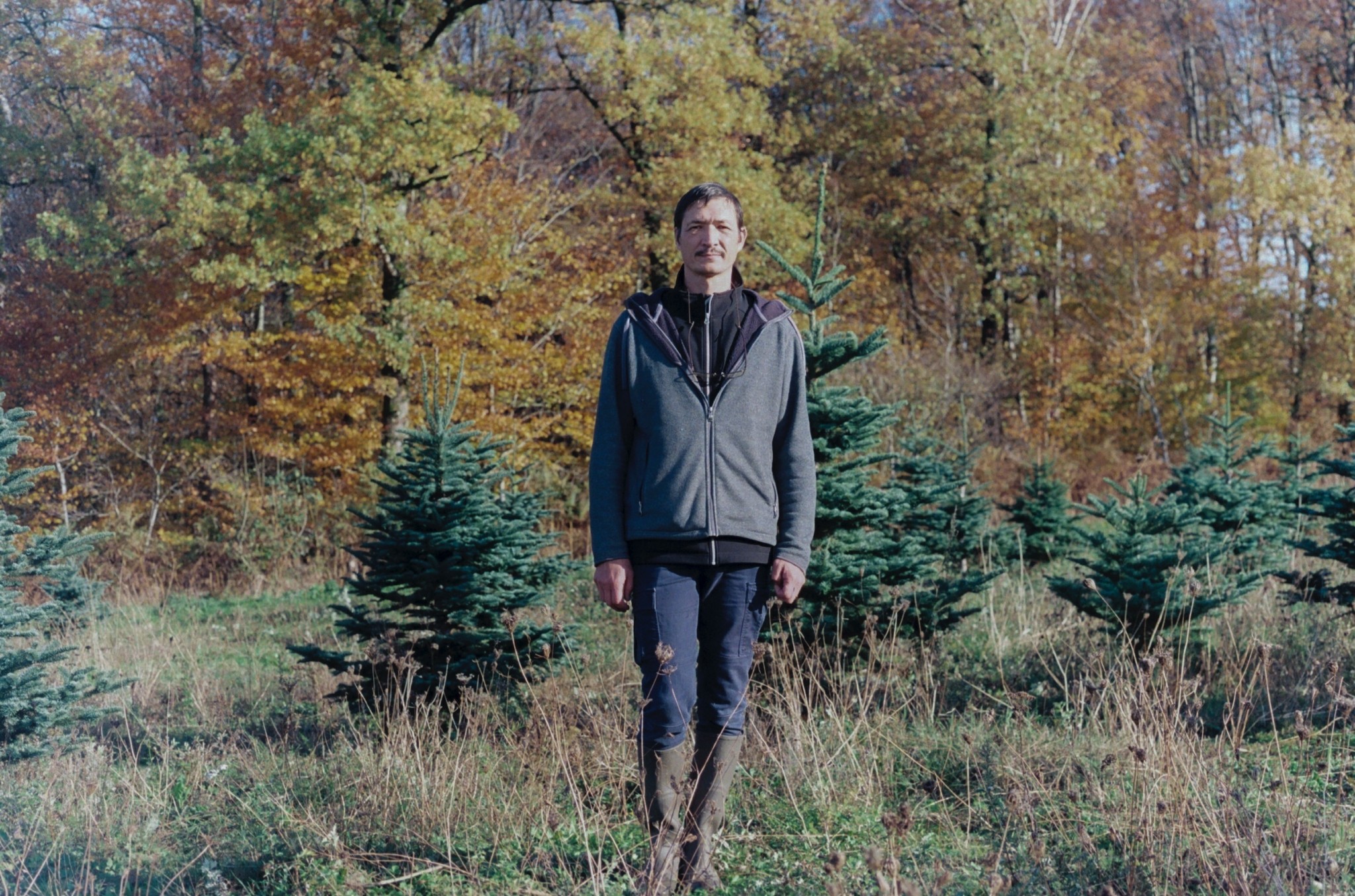 Christmas Trees' Environmental Impact Isn't So Simple Atmos