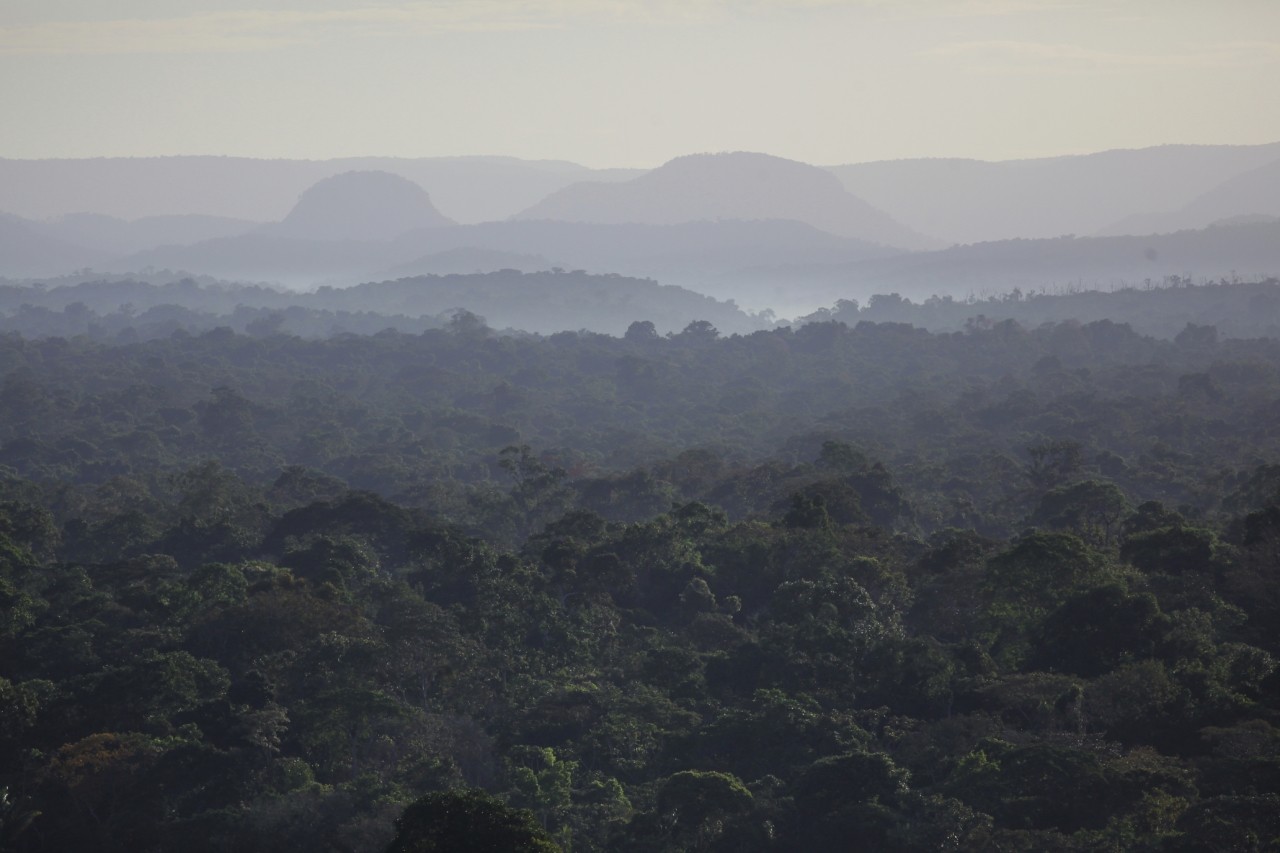 Here’s How We Protect Earth’s Defenders