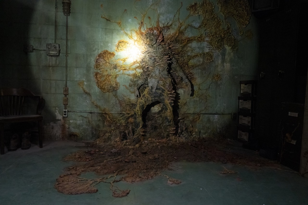 An image from the season premiere of The Last of Us shows a zombie that is stuck to the wall and overtaken by the dangerous fungus