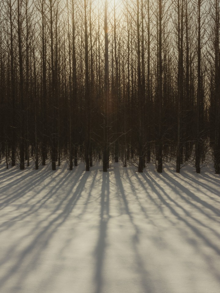 How to Endure the Winters of a Life Sentence