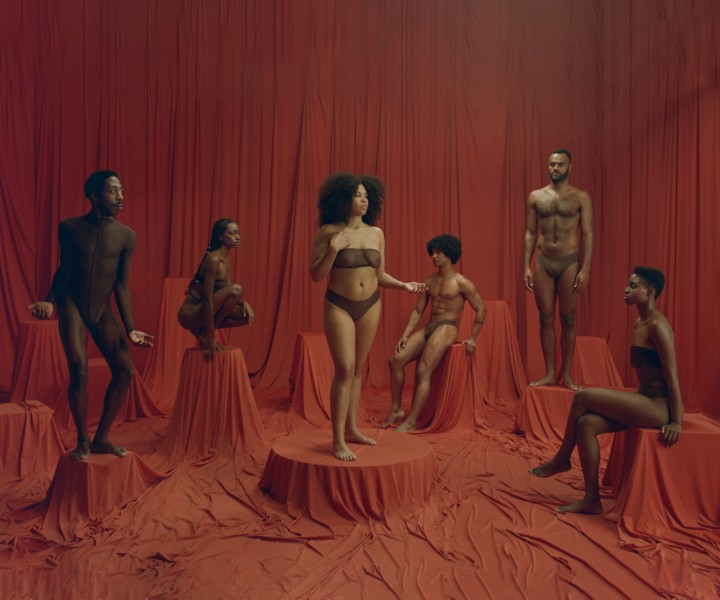 A Poetic Lesson on Black Anatomy