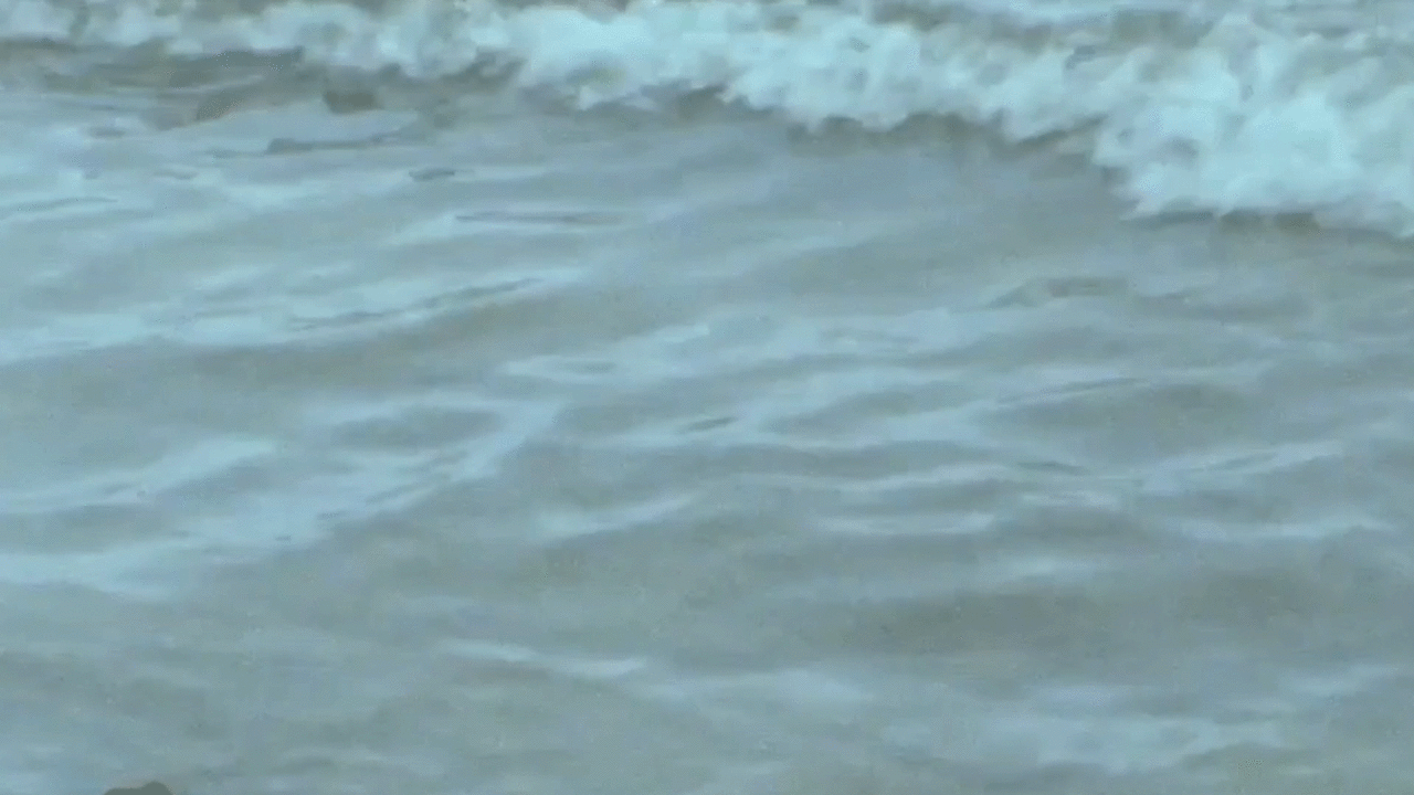 Ocean waves crash near the shore in California.