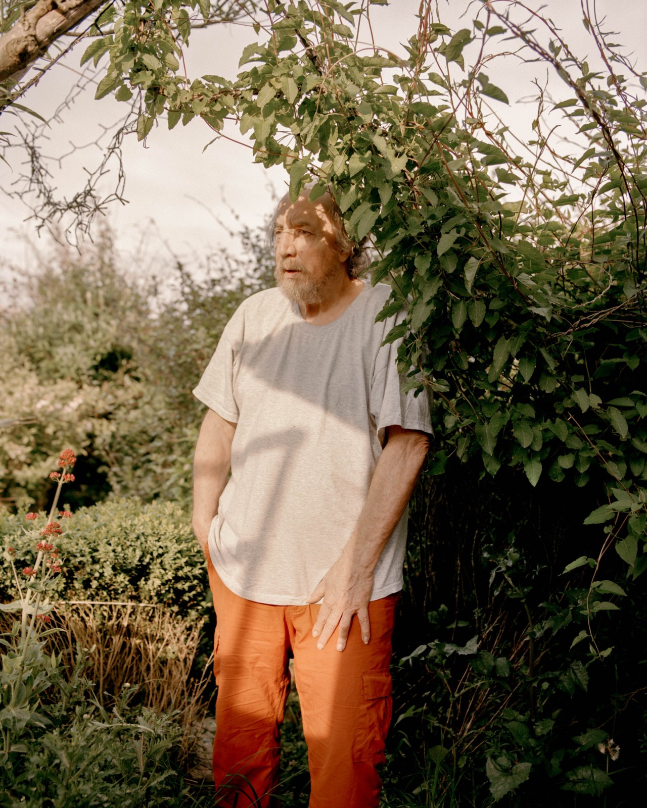 An older man stands amidst a vast amount of foliage, somewhat leaning on a large vine.