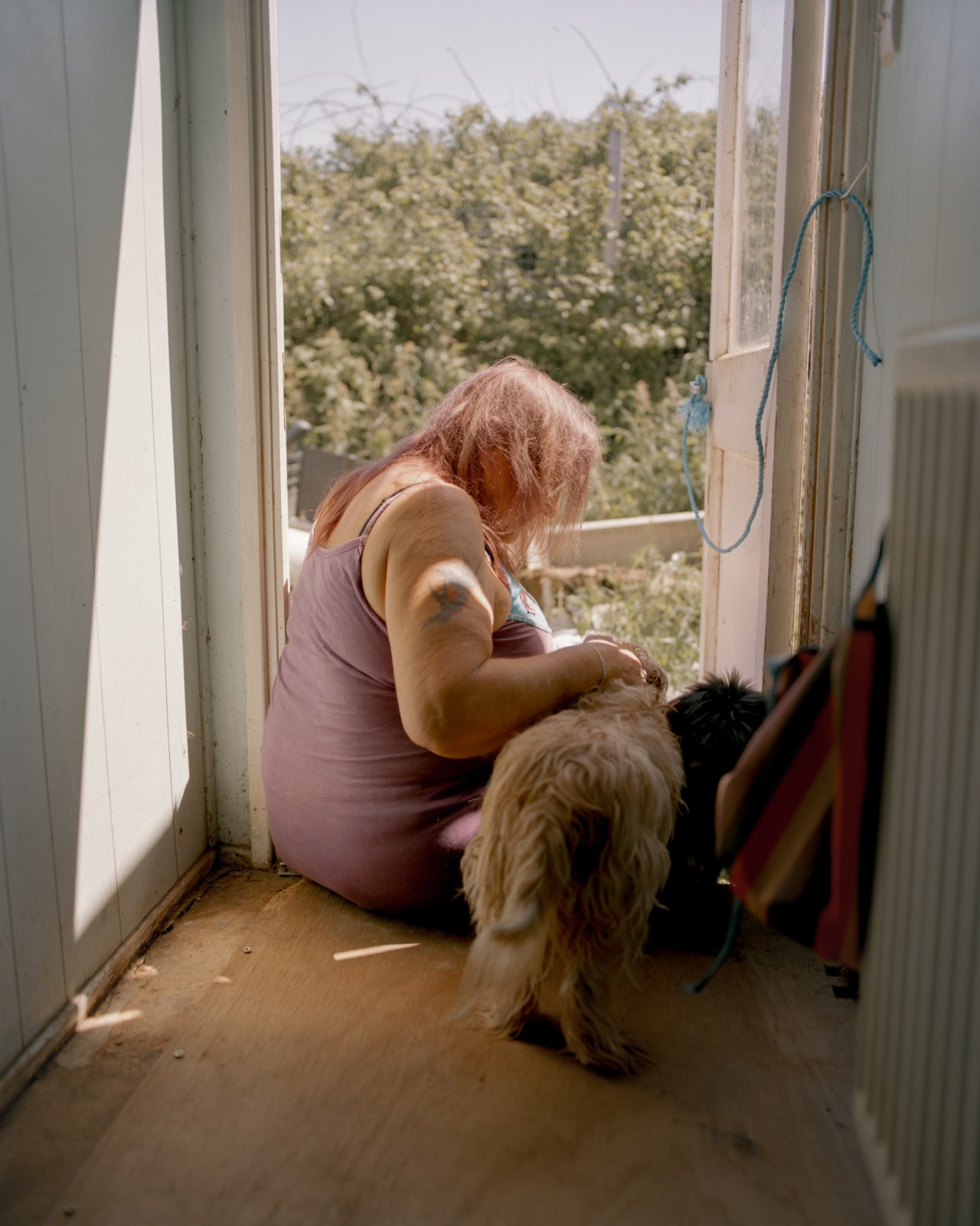 A woman sits in a door path outlooking a forest. She faces away from the camera while petting a tan-colored dog.