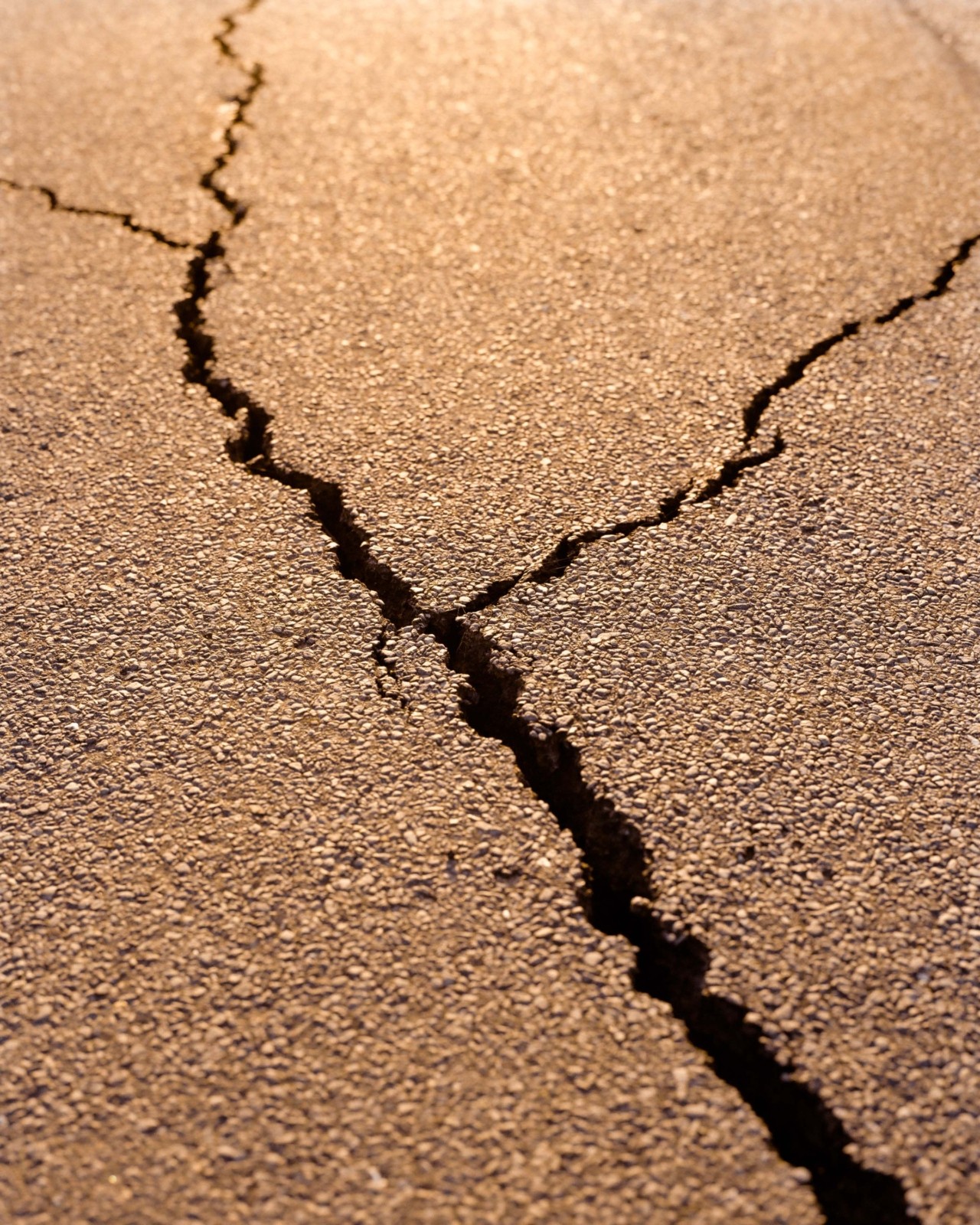 Sunlit cement ground cracked by geological erosion on British coast.
