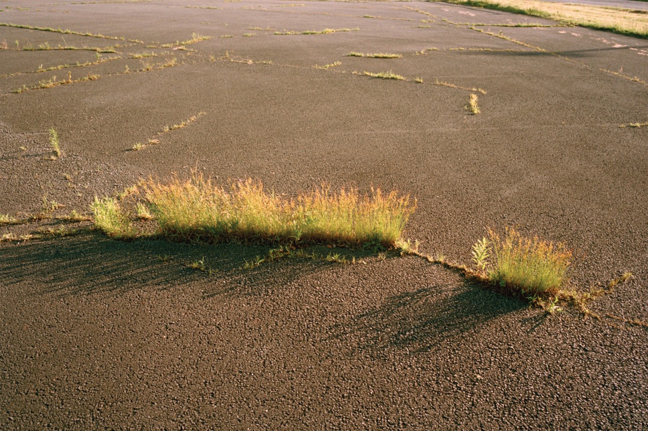 Riley Black Reflects on the Power of Growth