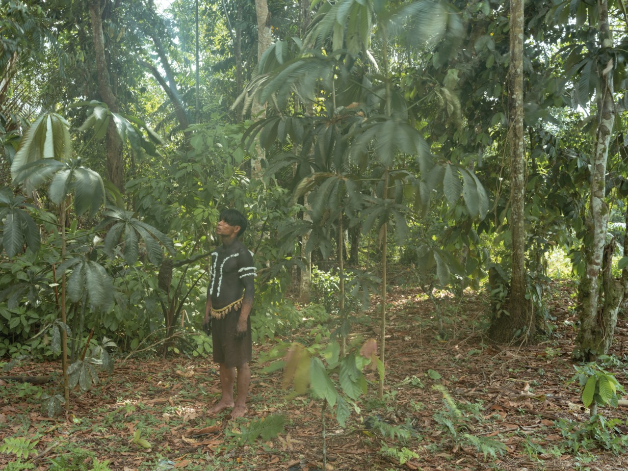 A man covered in black body paint is standing in the middle of the Amazon rainforest, looking up.