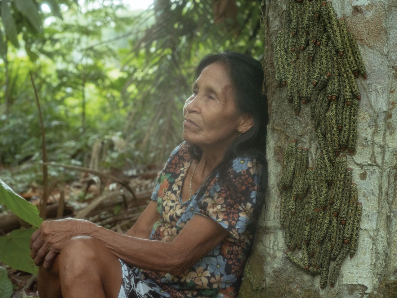 An older woman sits down and leans against a tree in the Amazon rainforest.