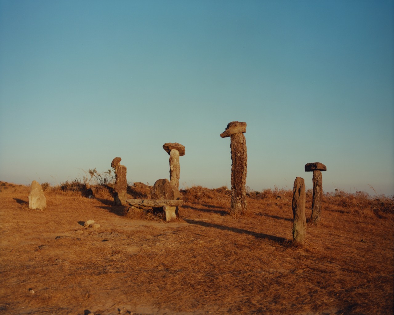Large stones are stacked together in an ancient forest in India.