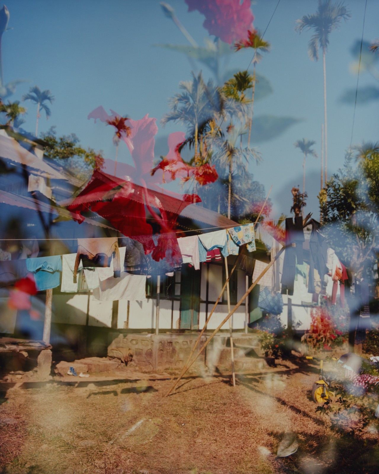 A clothesline and yard in front of a house is captured through the reflection in a window.