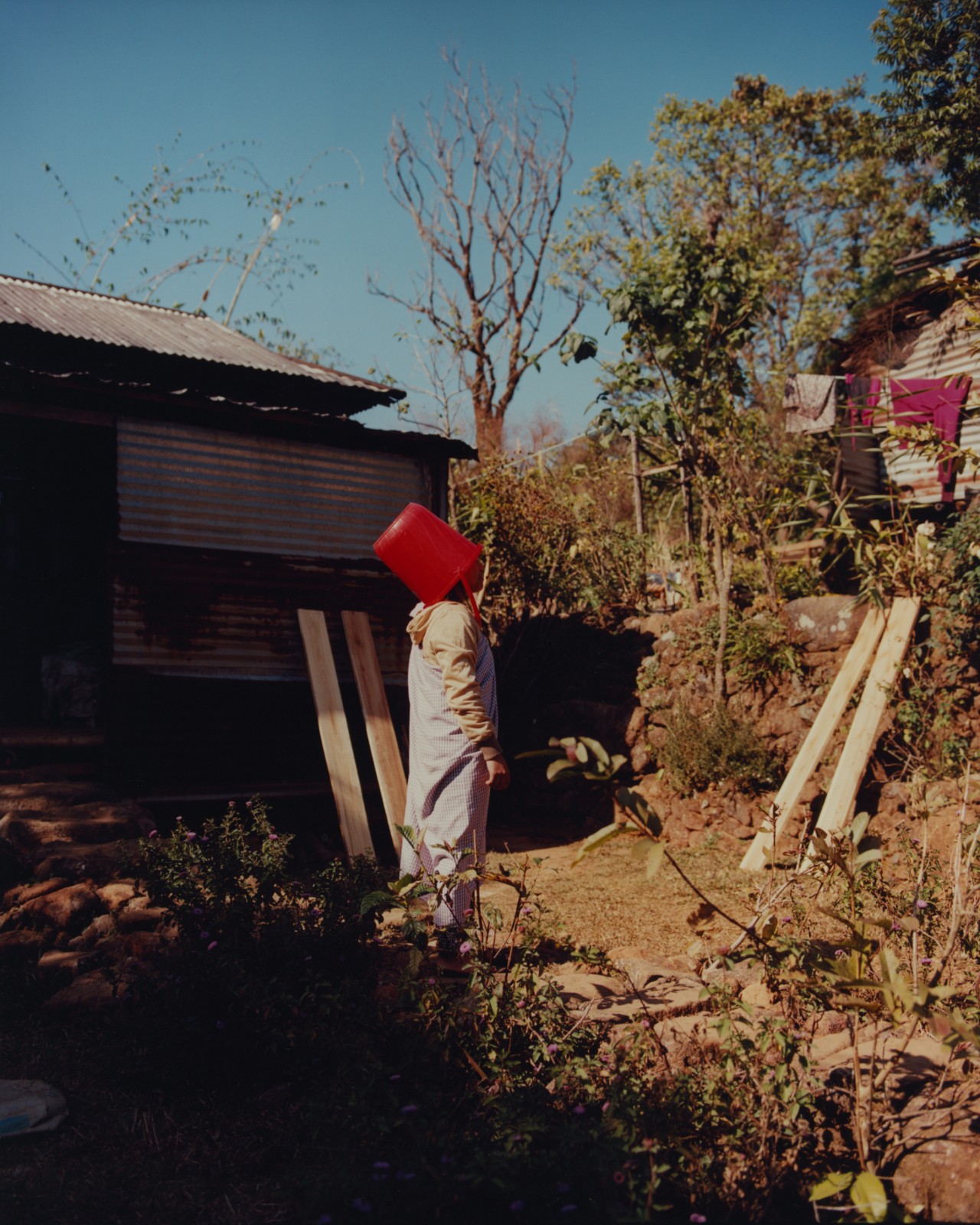 A young person with a red bucket on their head looks up to the sky in their backyard in an ancient forest.