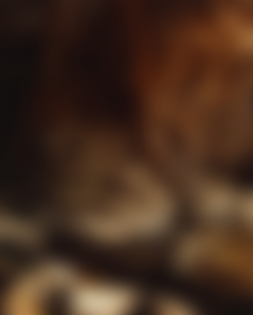 A cave reveals large rocks, tree branches, and swamp water in the ancient forest.