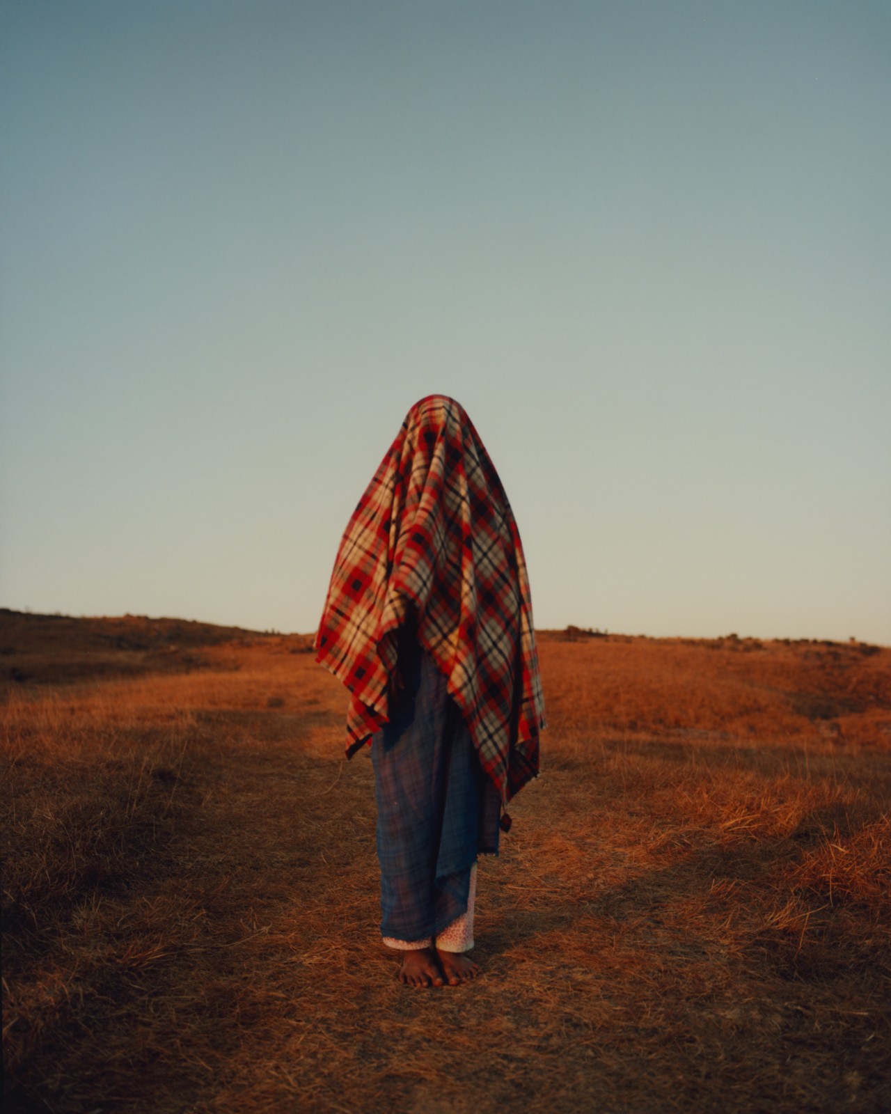 Someone stands in an ancient forest with a red and white plaid blanket over their head.