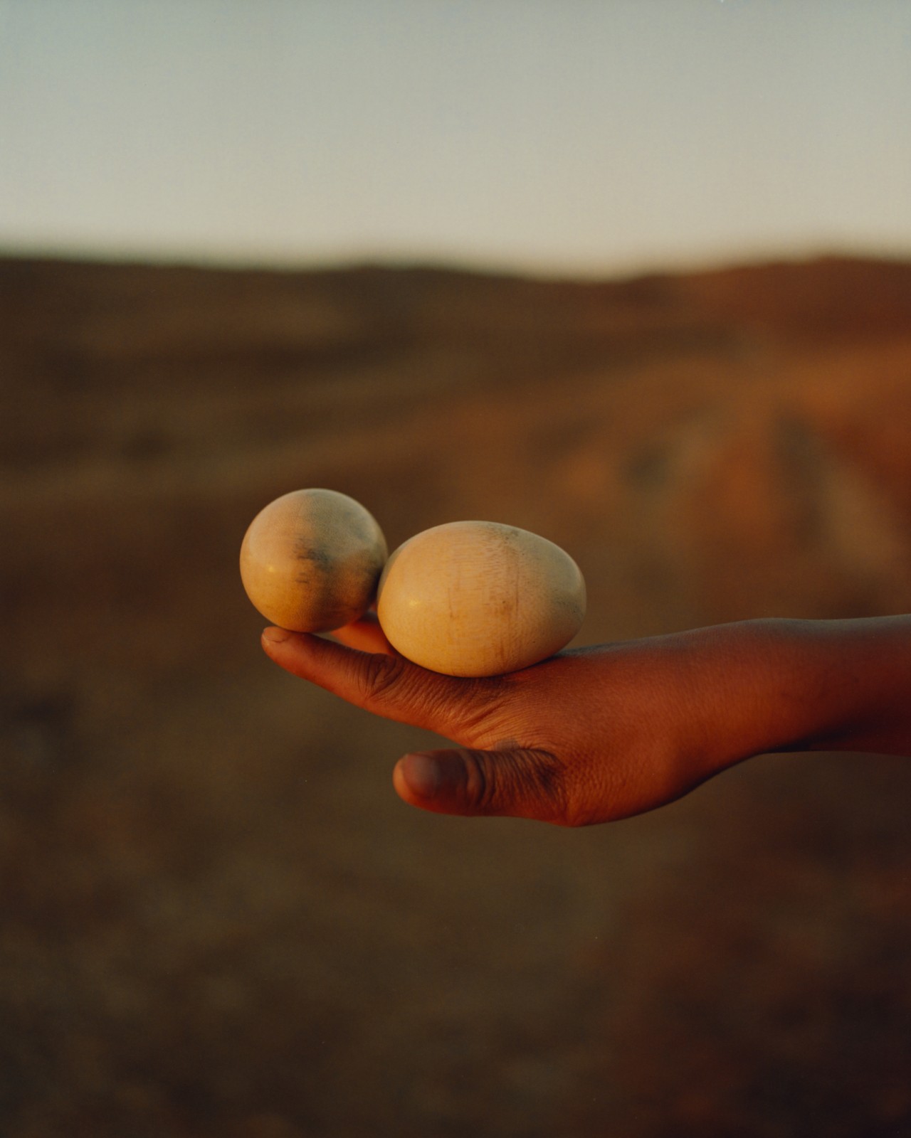 A hand balances two white eggs with an ancient forest in the background.