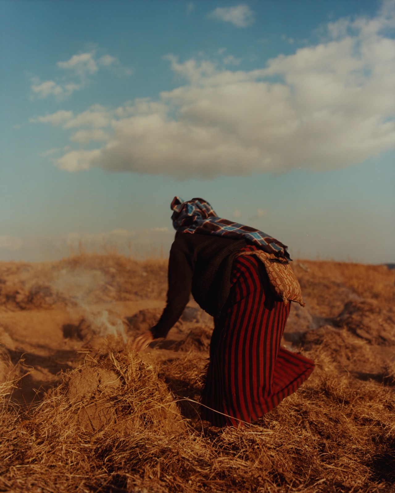 Someone facing away from the camera leans forward on the plains of an ancient forest in India.