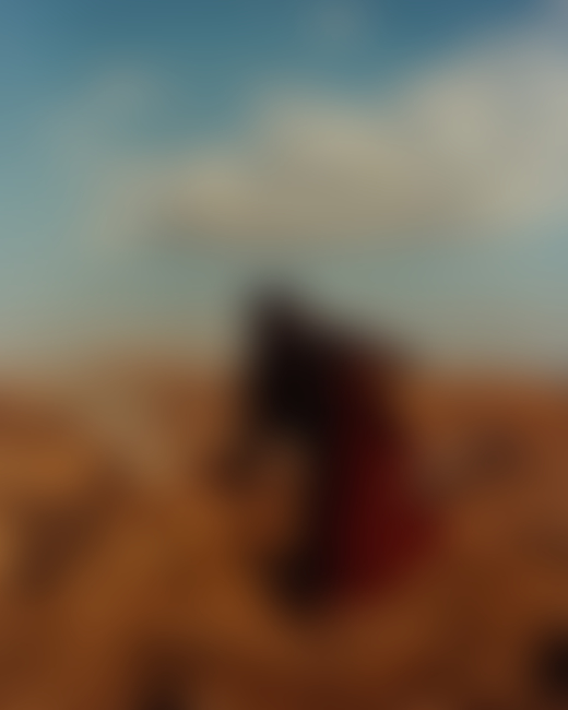 Someone facing away from the camera leans forward on the plains of an ancient forest in India.