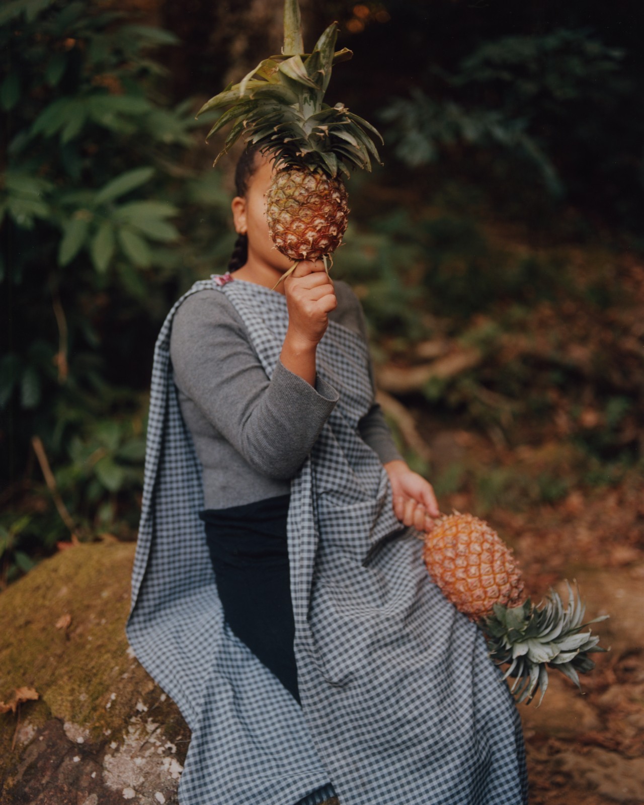 Someone sits on a rock in the ancient forest, covering their face with a pineapple.