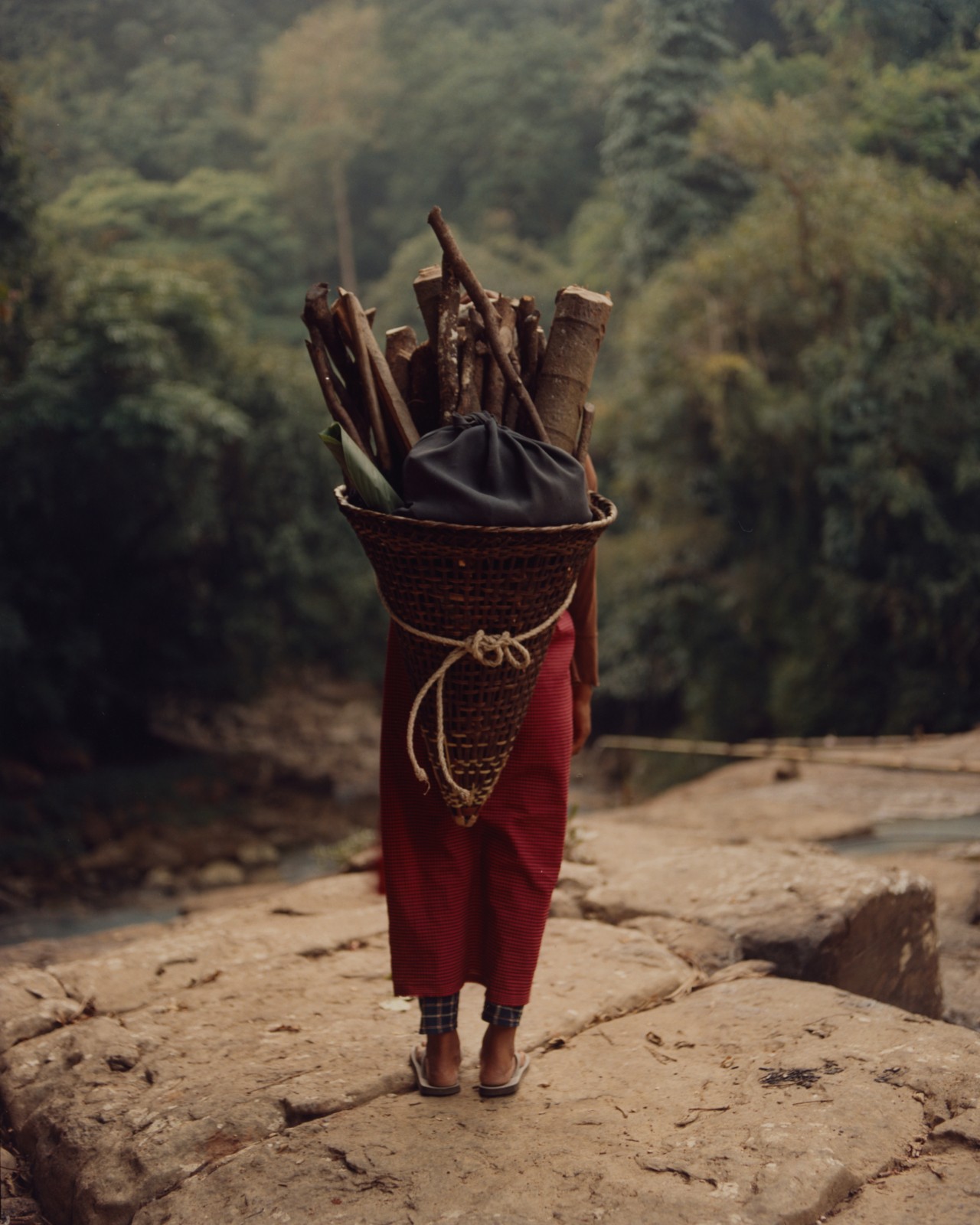Someone facing away from the camera carries a large basket filled with wood from the trees of an ancient forest.