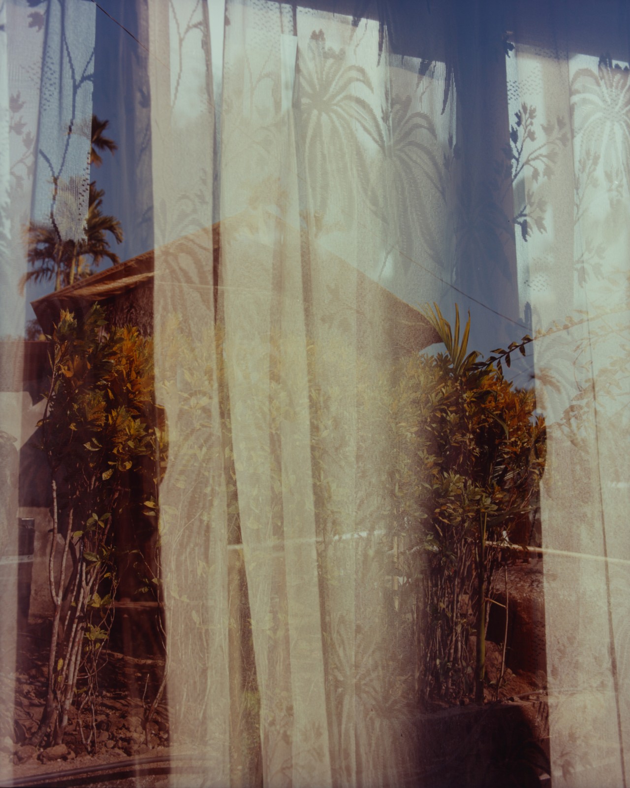 A window shows white curtains and a house in the reflection.