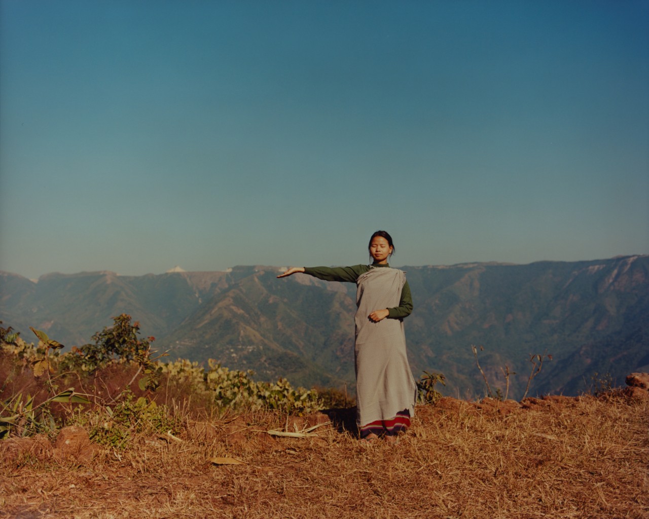 A young girl stands in front of the large landscape of an ancient forest.